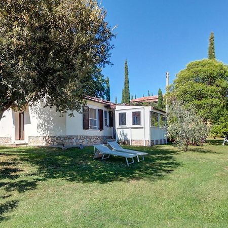 Artemisia Negli Ulivi B&B Magliano in Toscana Kültér fotó
