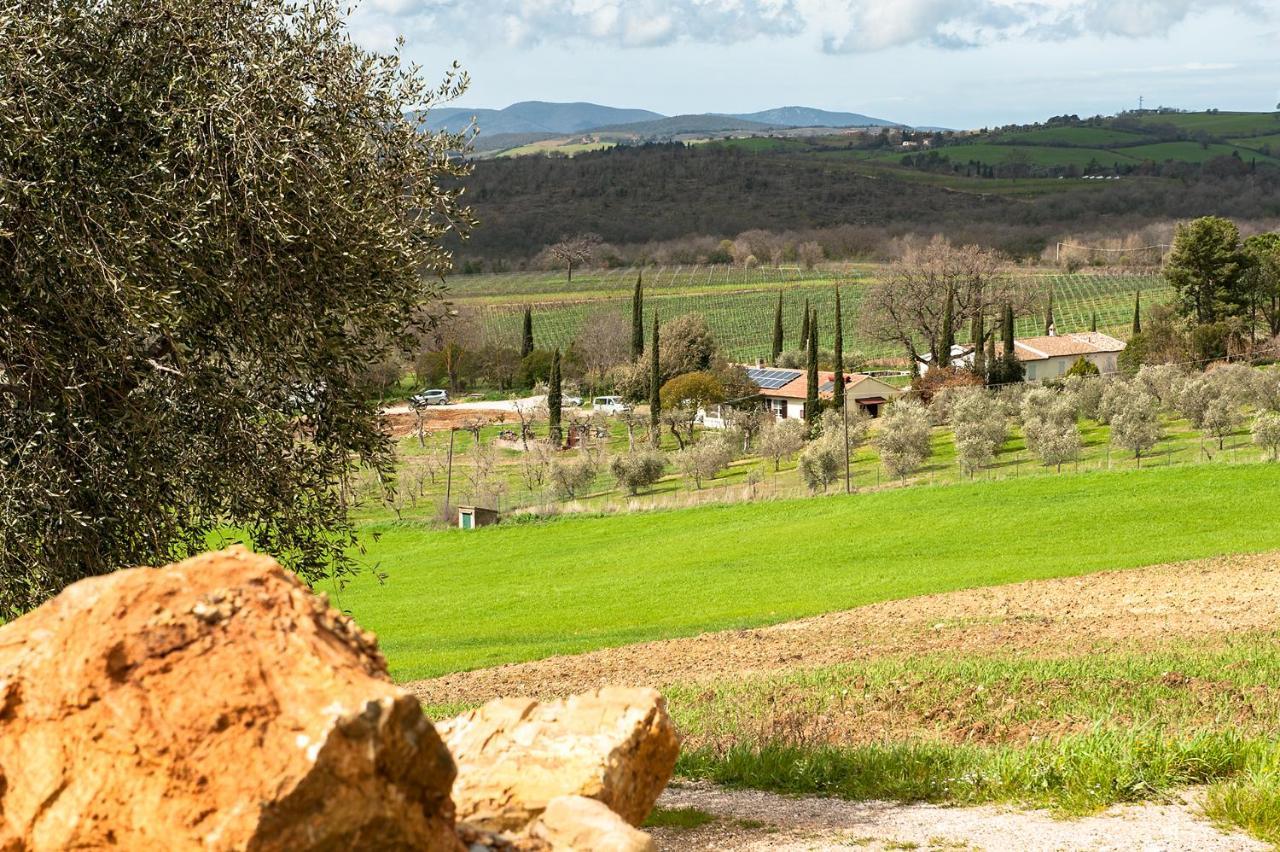 Artemisia Negli Ulivi B&B Magliano in Toscana Kültér fotó