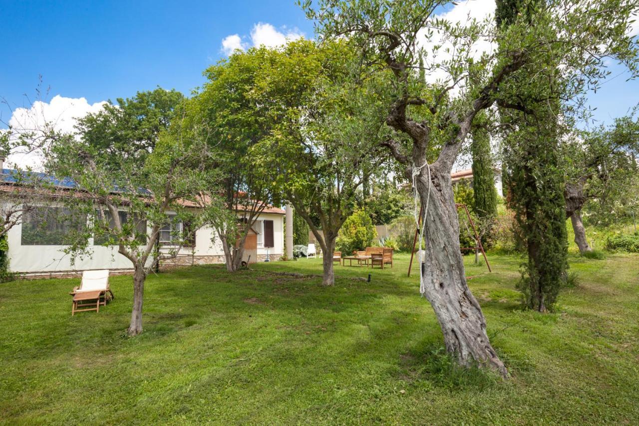 Artemisia Negli Ulivi B&B Magliano in Toscana Kültér fotó