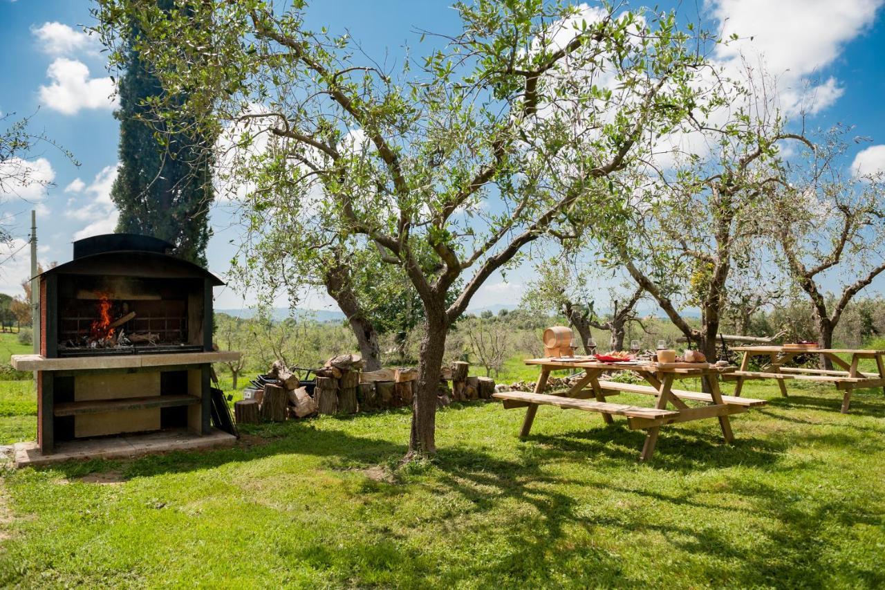 Artemisia Negli Ulivi B&B Magliano in Toscana Kültér fotó