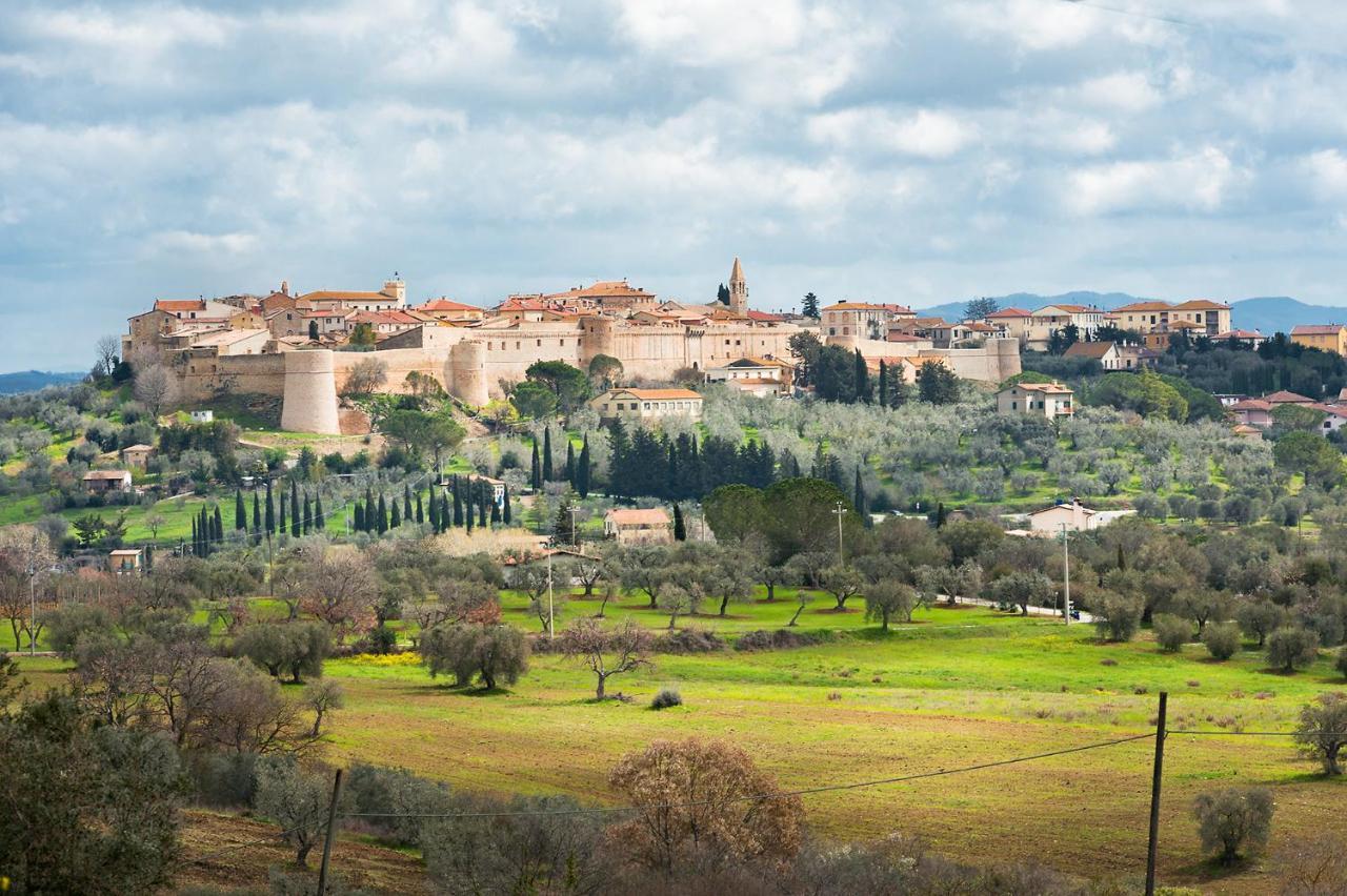 Artemisia Negli Ulivi B&B Magliano in Toscana Kültér fotó