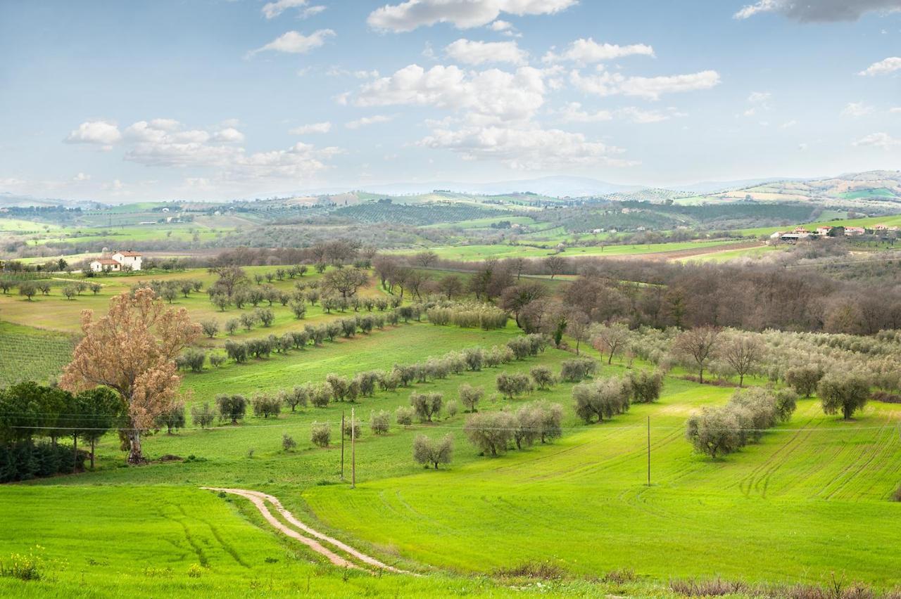 Artemisia Negli Ulivi B&B Magliano in Toscana Kültér fotó