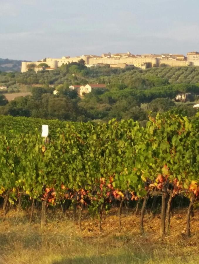 Artemisia Negli Ulivi B&B Magliano in Toscana Kültér fotó