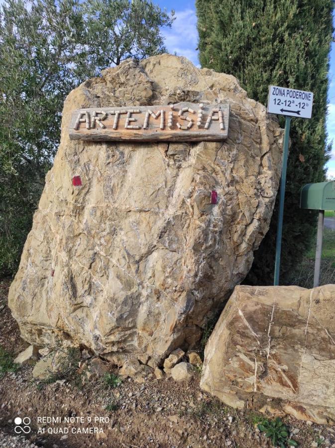 Artemisia Negli Ulivi B&B Magliano in Toscana Kültér fotó