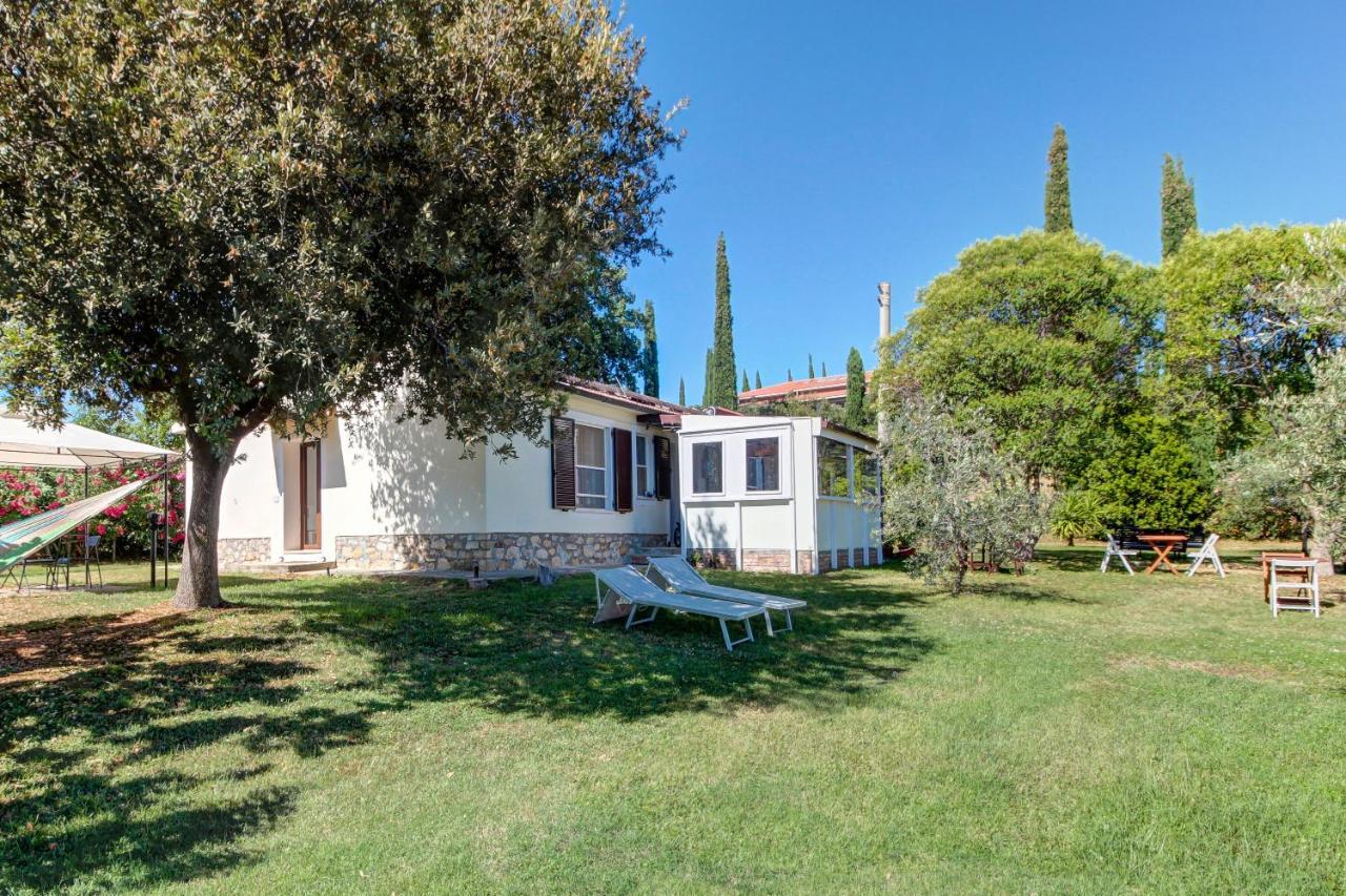 Artemisia Negli Ulivi B&B Magliano in Toscana Kültér fotó