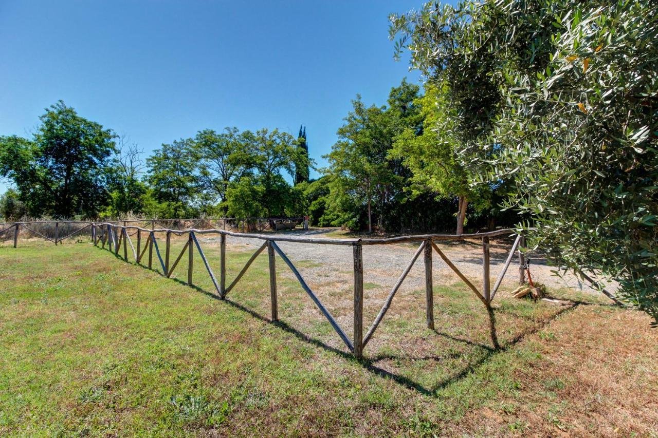 Artemisia Negli Ulivi B&B Magliano in Toscana Kültér fotó