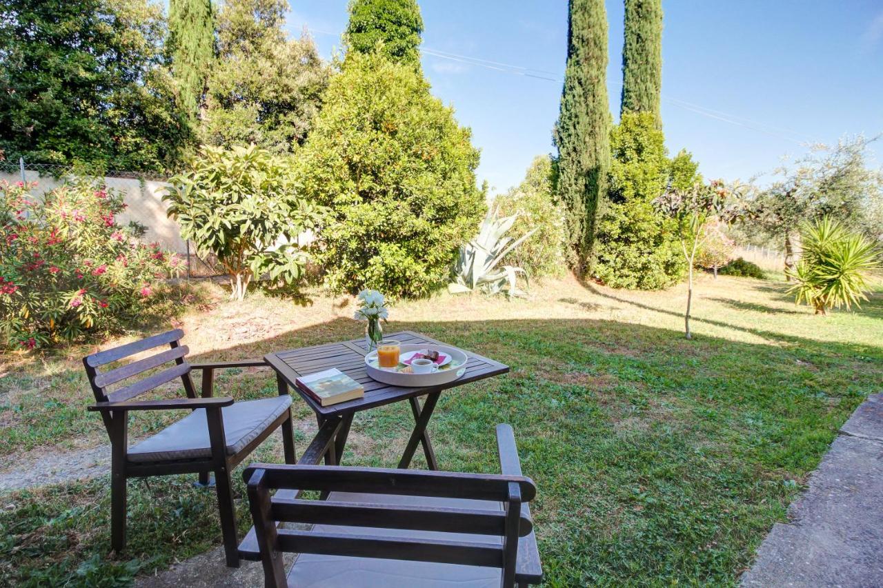 Artemisia Negli Ulivi B&B Magliano in Toscana Kültér fotó