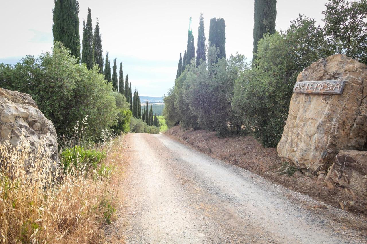 Artemisia Negli Ulivi B&B Magliano in Toscana Kültér fotó