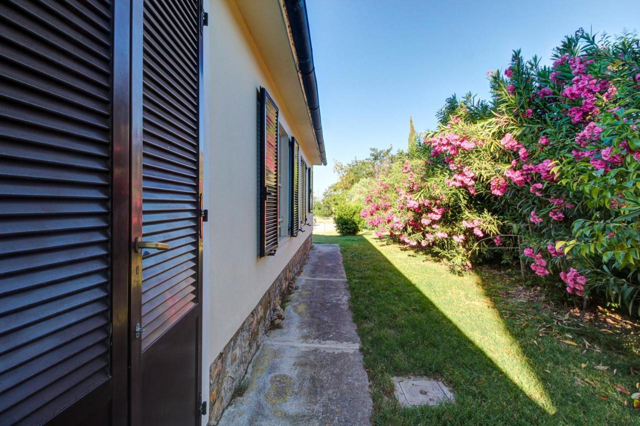 Artemisia Negli Ulivi B&B Magliano in Toscana Kültér fotó