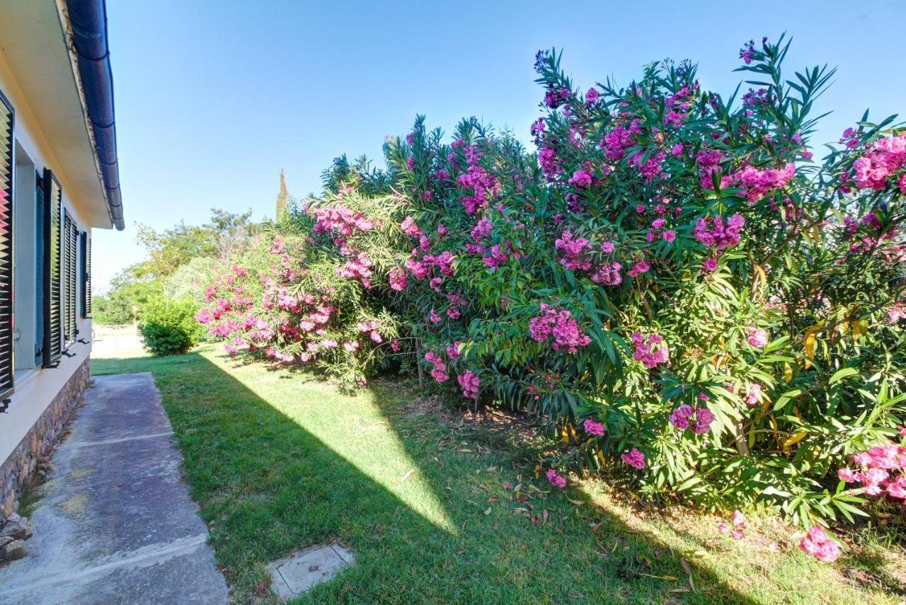 Artemisia Negli Ulivi B&B Magliano in Toscana Kültér fotó