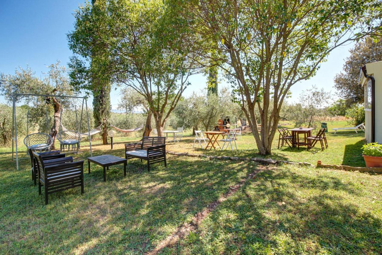 Artemisia Negli Ulivi B&B Magliano in Toscana Kültér fotó