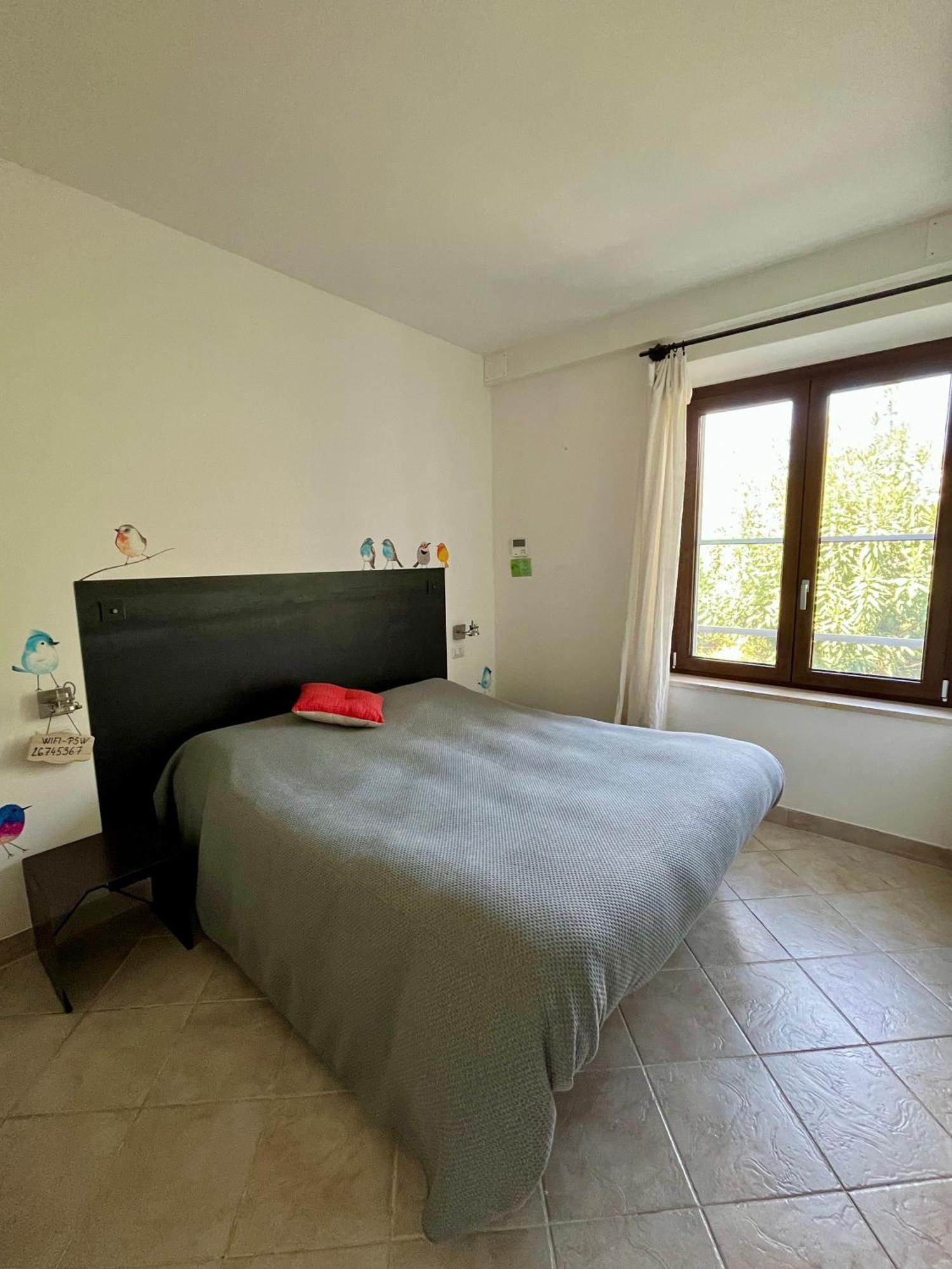 Artemisia Negli Ulivi B&B Magliano in Toscana Kültér fotó